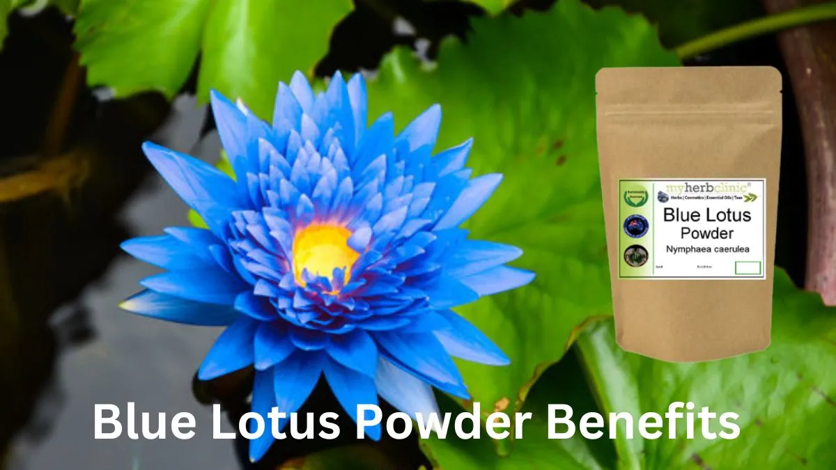 Blue Lotus Powder Benefits