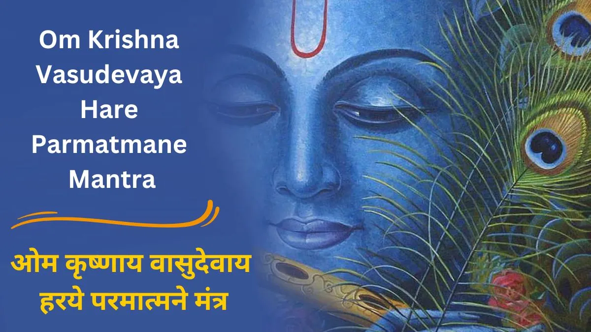 Om Krishna Vasudevaya Hare Parmatmane Mantra