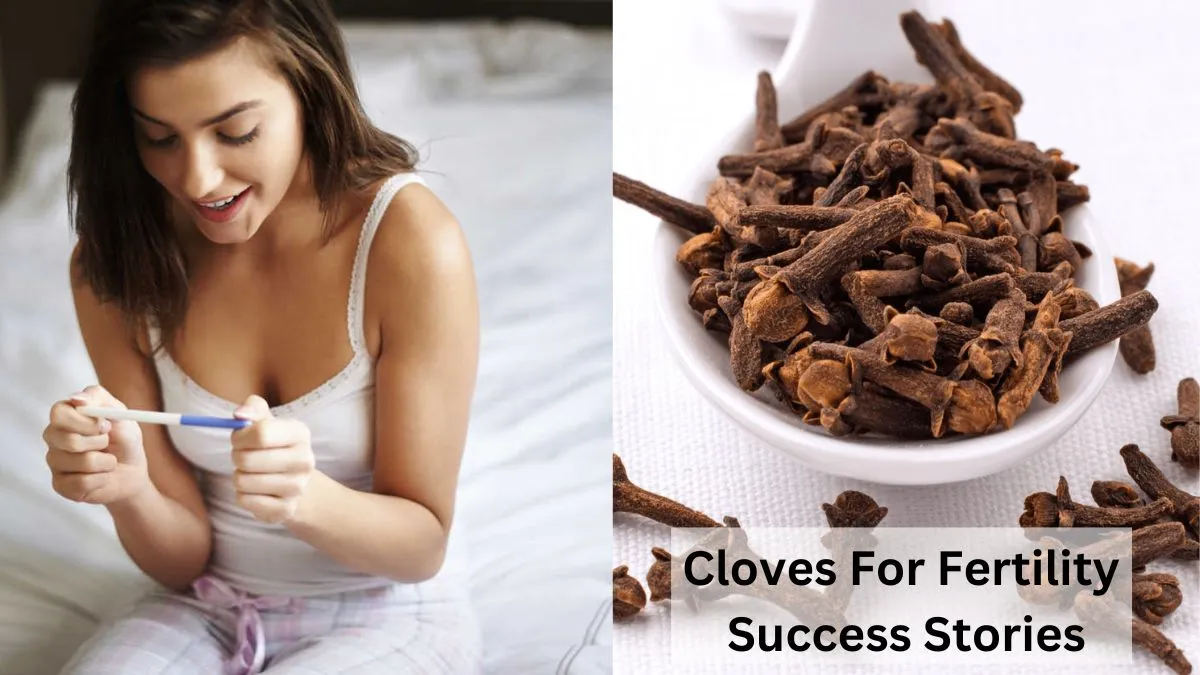 Cloves For Fertility Success Stories