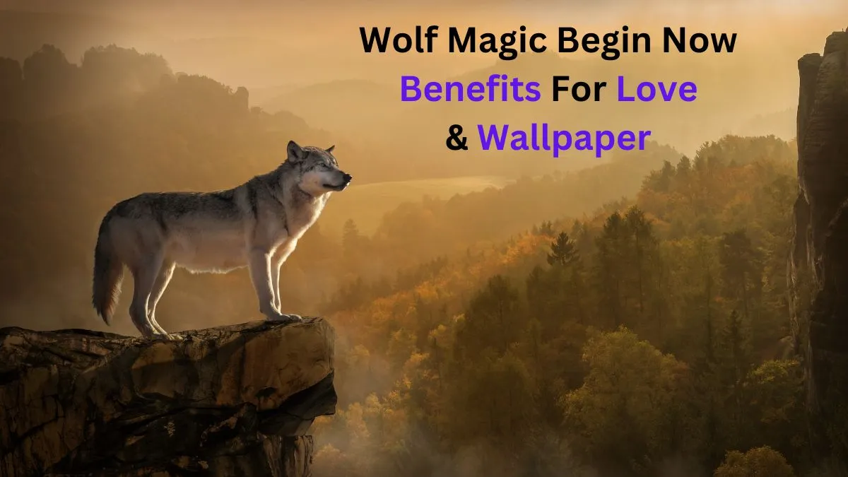 Wolf Magic Begin Now Benefits