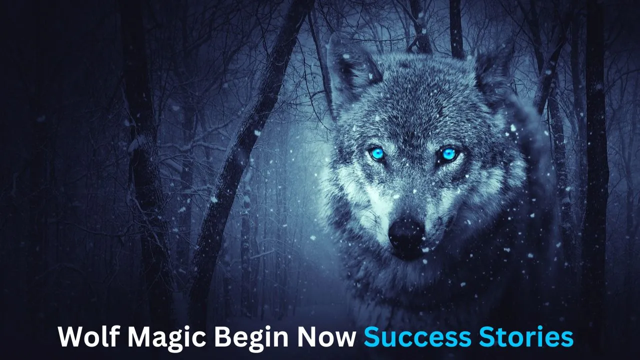 Wolf Magic Begin Now Success Stories